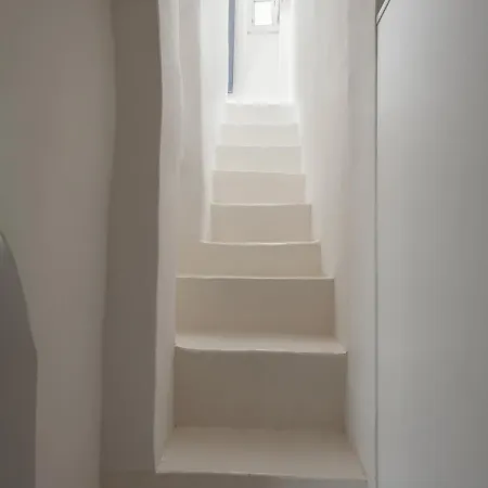 Formica أوستوني